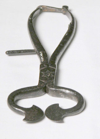 Sugar tongs
