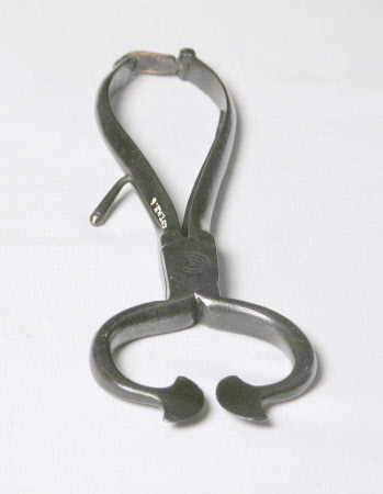 Sugar tongs