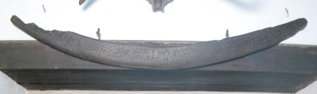 Whale bone