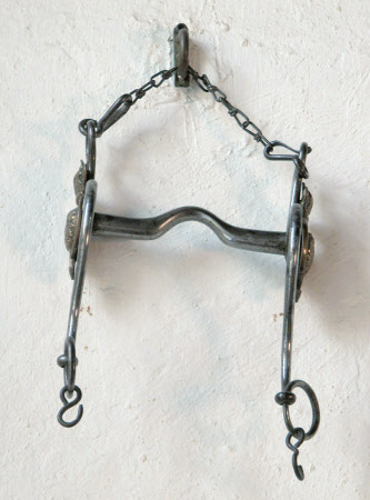 Horse bit