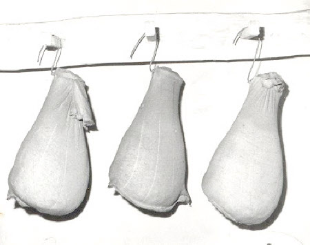 Artificial ham
