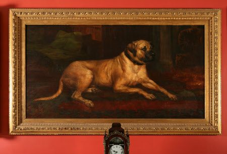 'Lion', a Lyme Mastiff in the Entrance Hall at Lyme