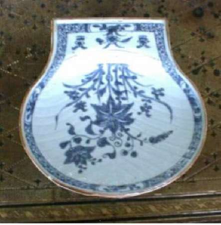 Dish