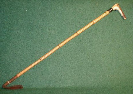 Cane