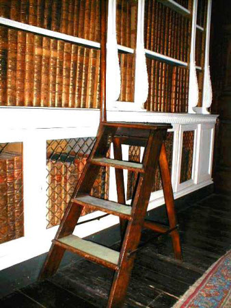 Library ladder