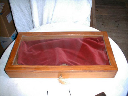 Case