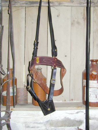 Sword harness