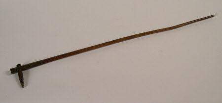 Cane