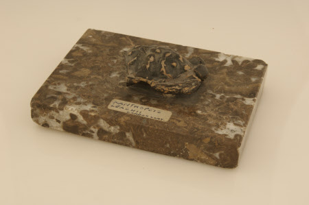 Geological specimen