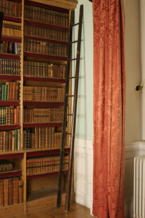 Library ladder