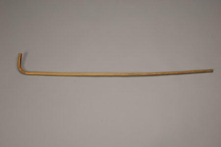 Cane