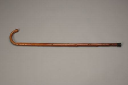 Cane