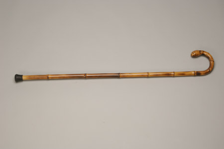 Cane