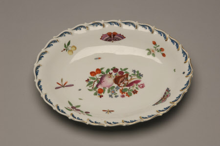 Dish