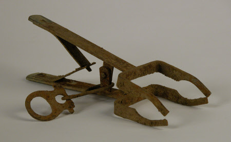 Mole trap