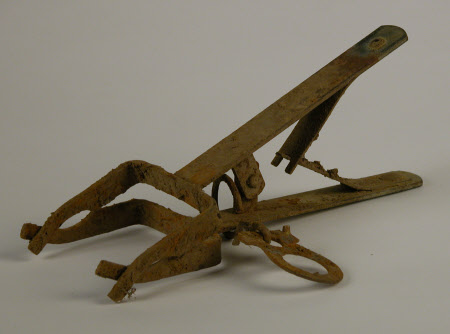 Mole trap