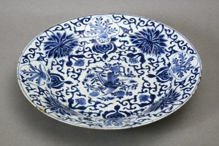 Dish