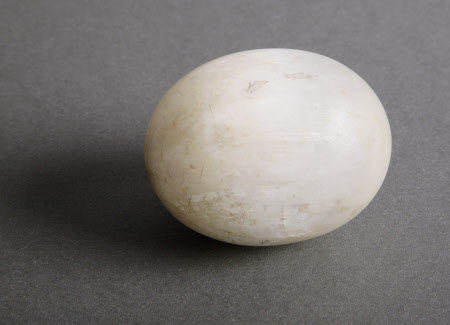 Egg