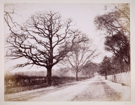 Dunham Massey © National Trust / Robert Thrift
