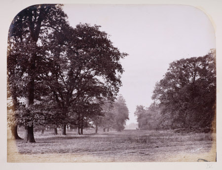 Dunham Massey © National Trust / Robert Thrift