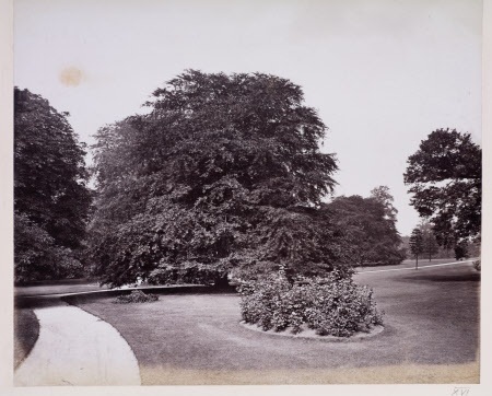 Dunham Massey © National Trust / Robert Thrift