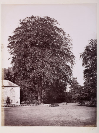Dunham Massey © National Trust / Robert Thrift