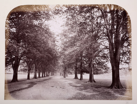 Dunham Massey © National Trust / Robert Thrift