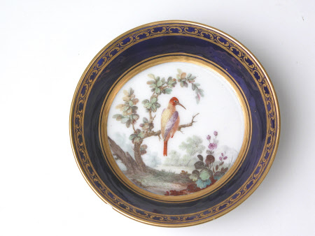 Saucer