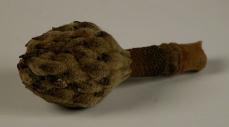 Seed head