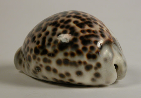 Sissinghurst Castle © National Trust / Charles Thomas