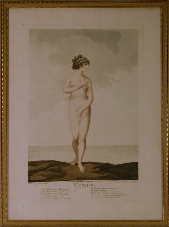 Venus