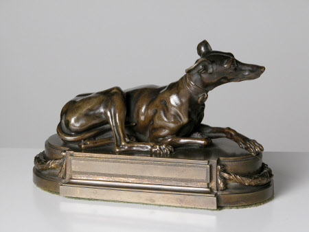 Greyhound