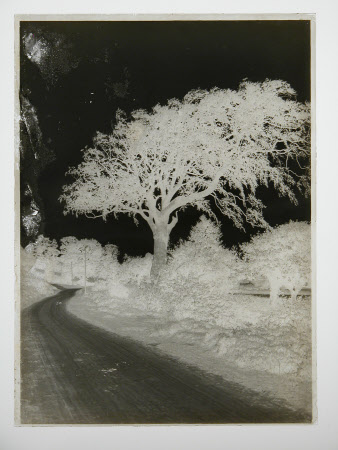 Negative on glass