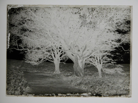 Negative on glass