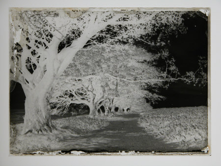 Negative on glass