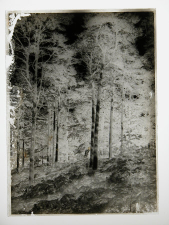 Negative on glass