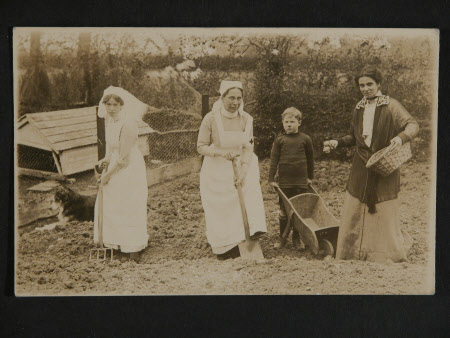 Postcard