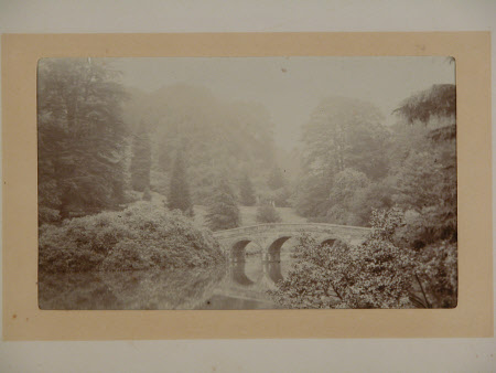 Photograph