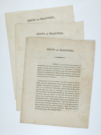 Leaflet