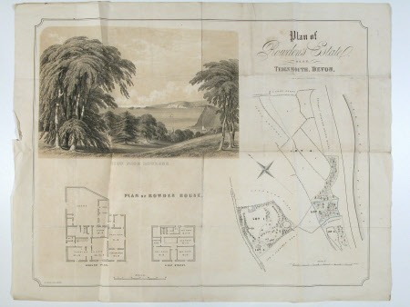 Estate plan