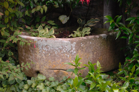 Water trough
