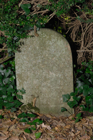 Gravestone for a Pet called Peter (1913-1920)