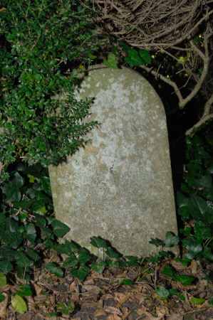 Gravestone for a Pet called 'Henry' (1910-1919).