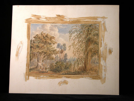 Indian Landscape