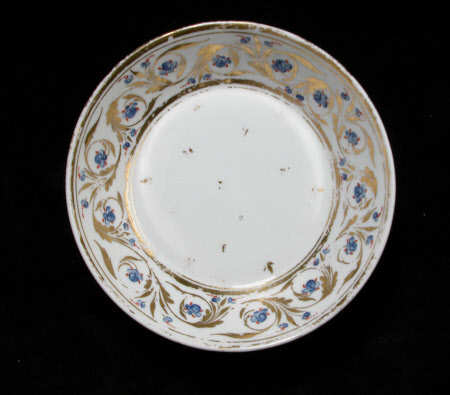 Saucer