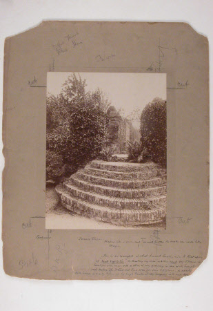 Photograph