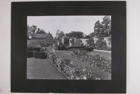 Photograph