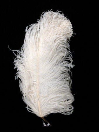 Dudmaston © National Trust / Claire Reeves