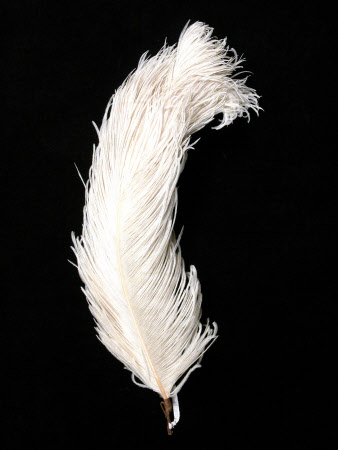 Dudmaston © National Trust / Claire Reeves