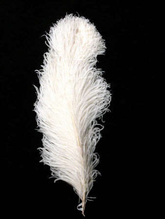 Dudmaston © National Trust / Claire Reeves